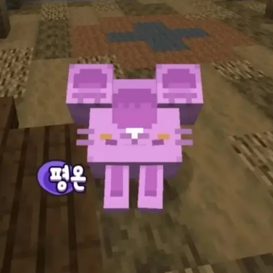PIXELY666의 뜰팁 남고