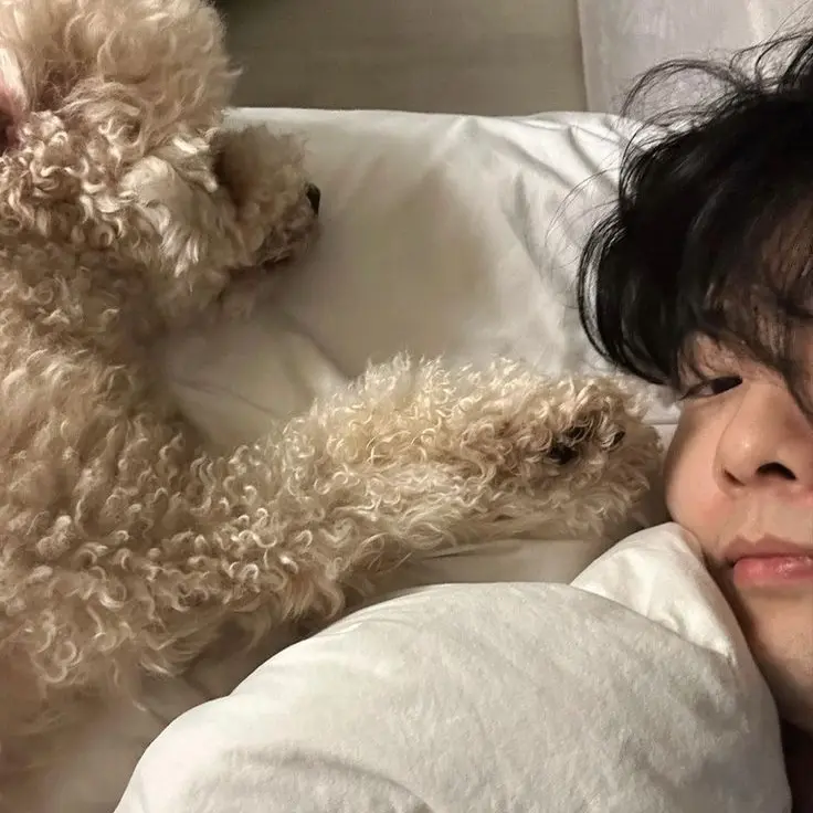 Cha.xexn의 홍시영