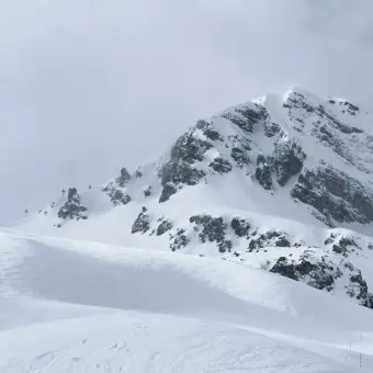 Profile image of 리온