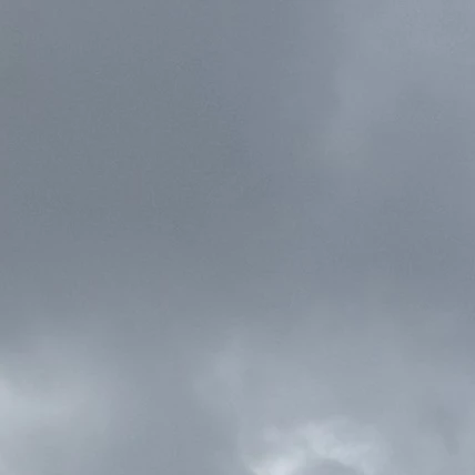 조이