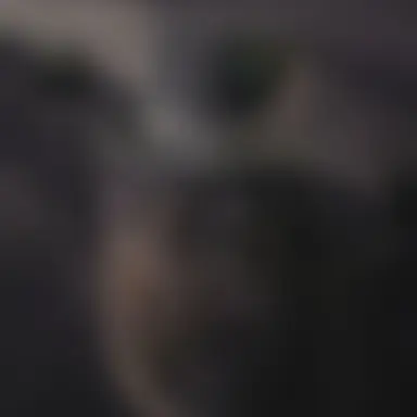 Profile image of Dion Lambert