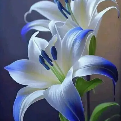 SureCrumb4565의 이도규