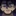 ゴーダッツ