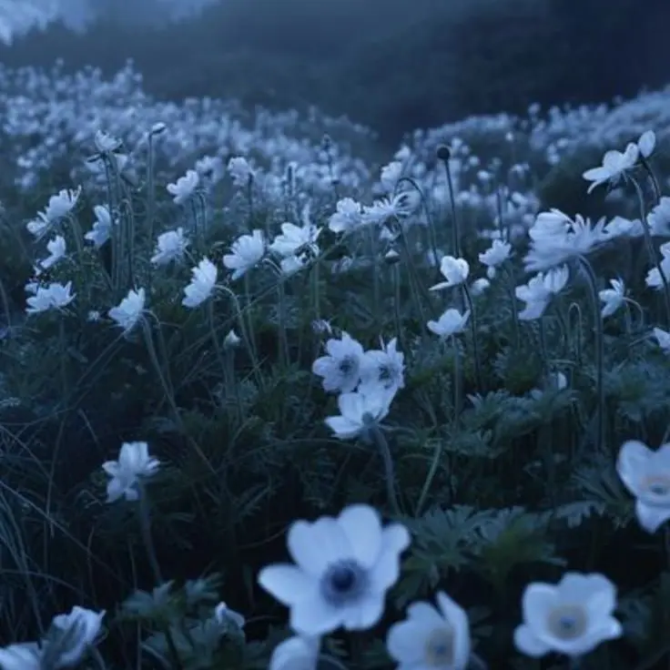 gl_pppp의 윤서림