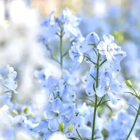 FatalGoose3781의 ❤︎