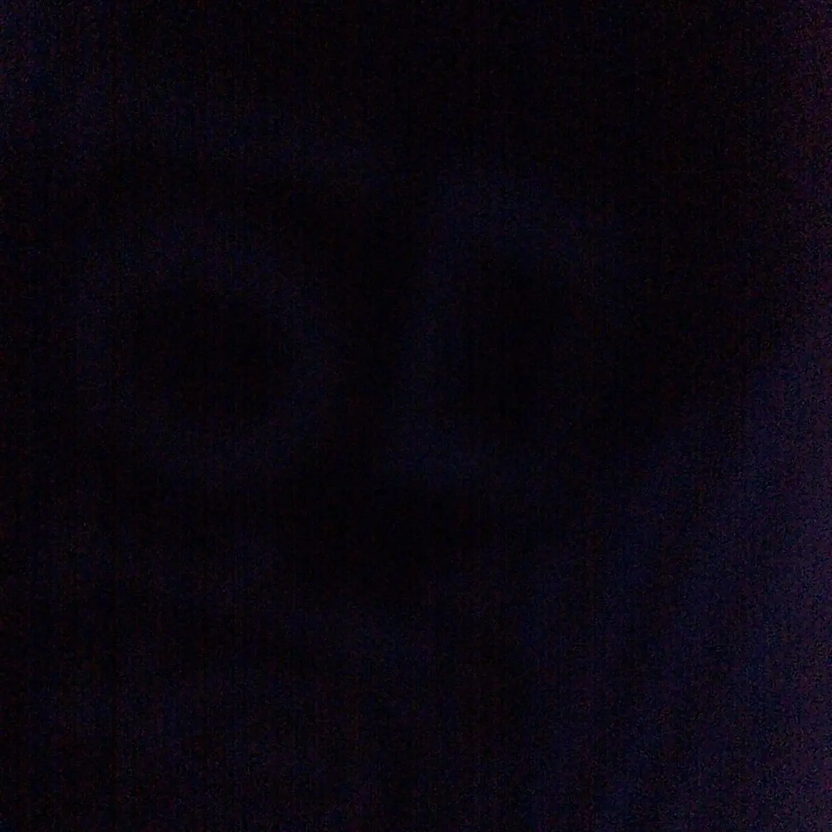 TameTwin8884의 진개성과 아이엠 그라운드