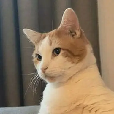 Profile image of 준혁