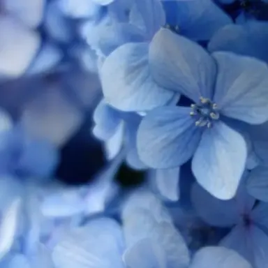 Profile image of 잠경위