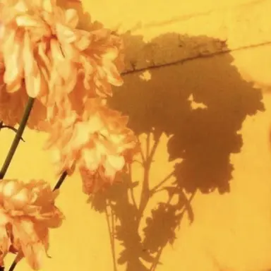 Profile image of 각경위