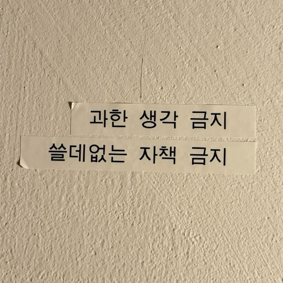 나루미 겐. 대표 이미지