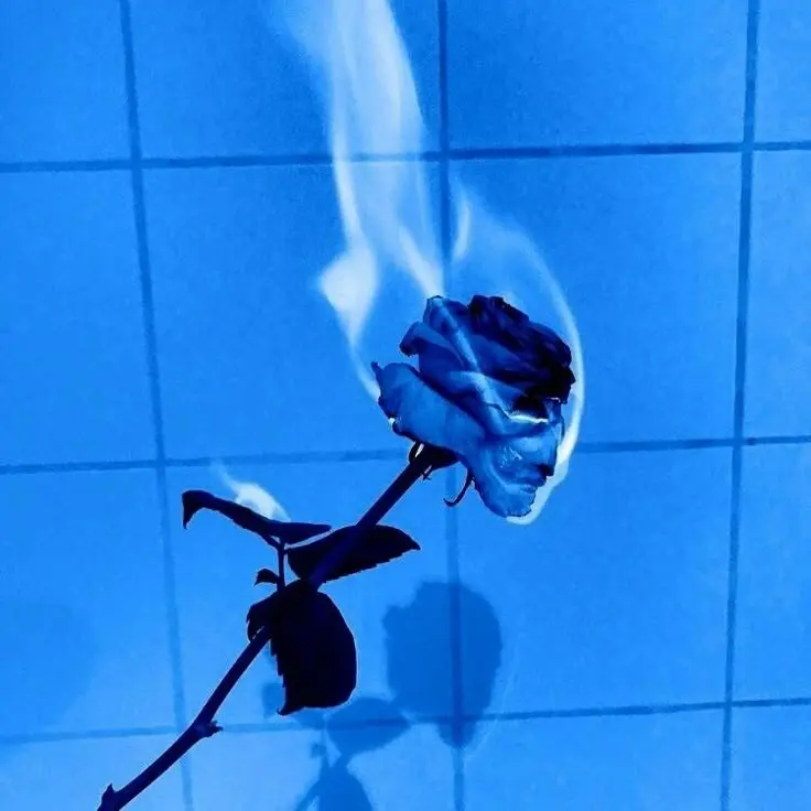 nood_nooz의 천유화