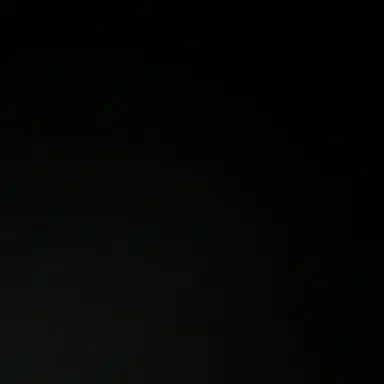 Profile image of 나화진