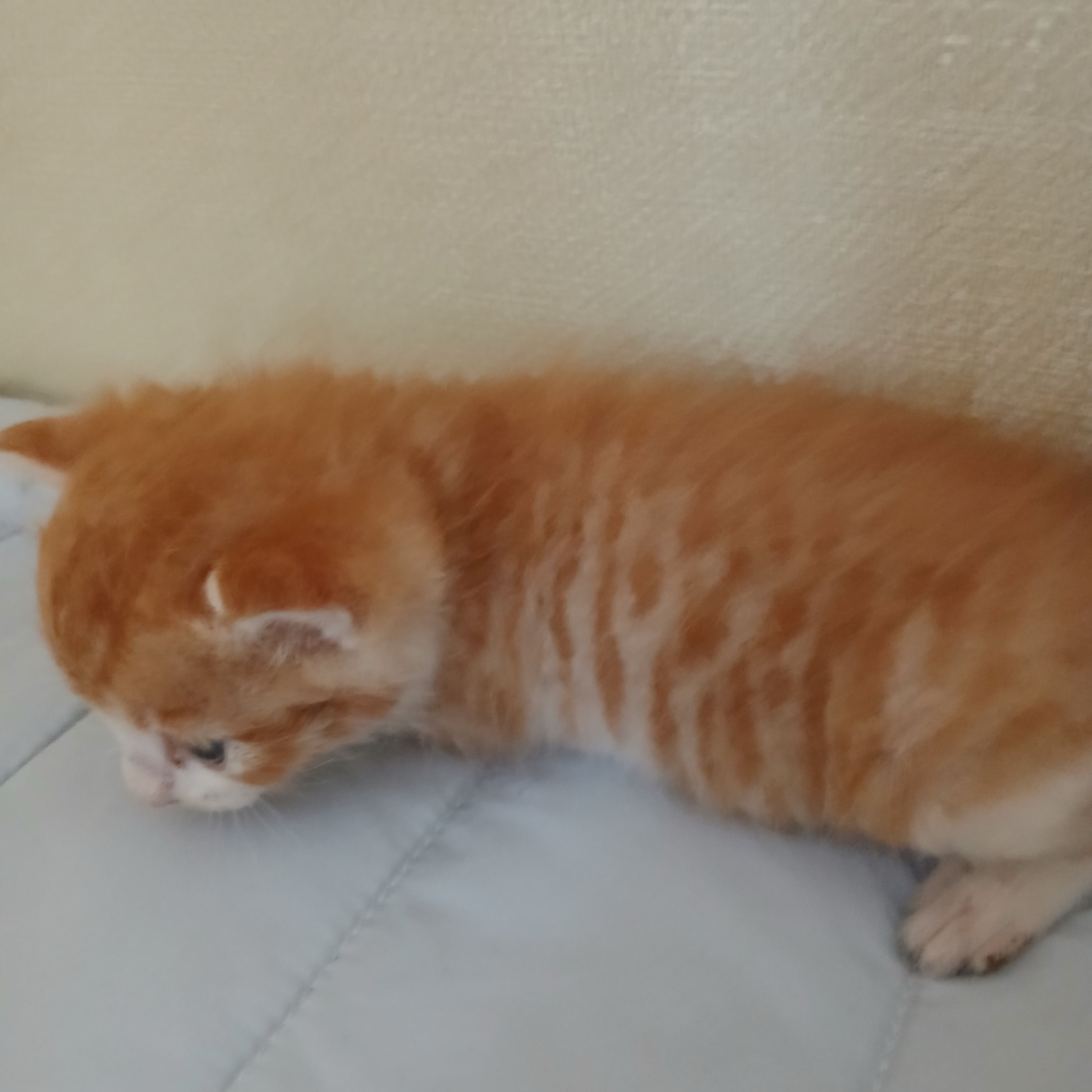 .. 대표 이미지