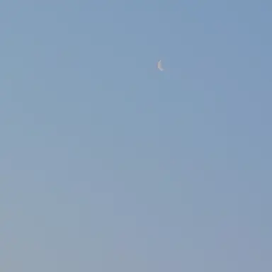 Profile image of 고고프렌즈