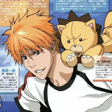 Profile image of 黒崎一護