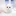 아기고양이 크림이
