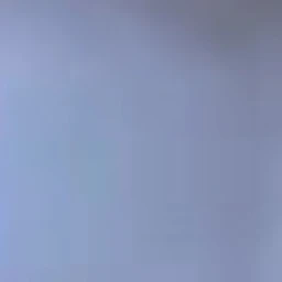 조정식