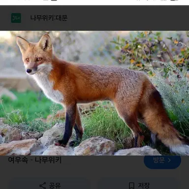 Profile image of 김여우