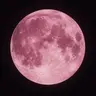 Profile image of a-a-반