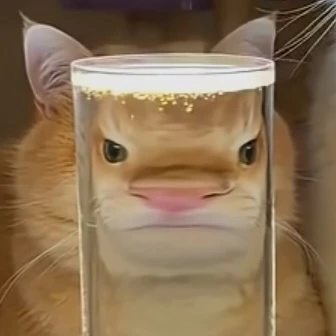 여우와고고프렌즈
