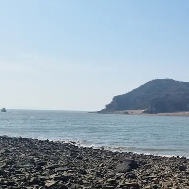 Profile image of 최지민