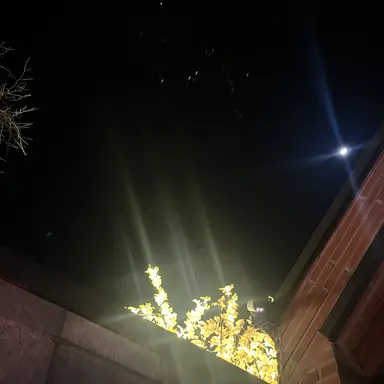 Profile image of 각별