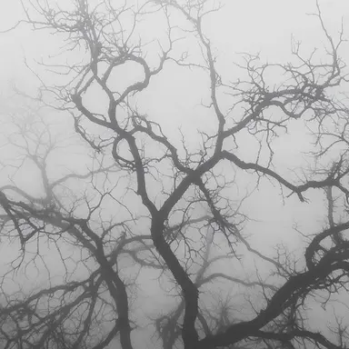 Profile image of 박승권