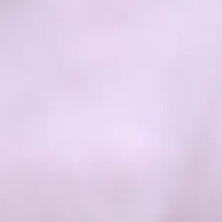 Profile image of 사랑