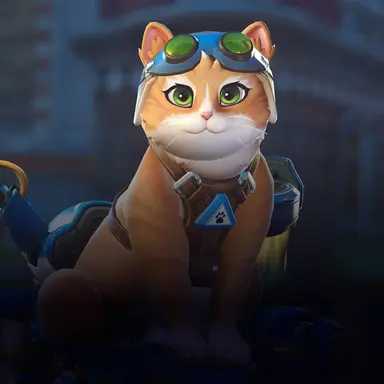 Profile image of 캣