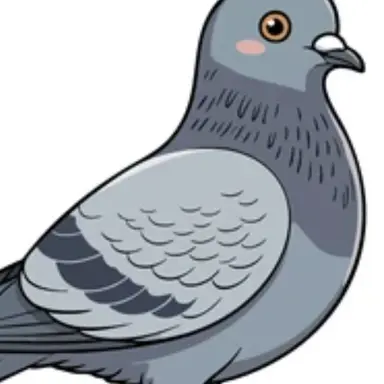 Profile image of チョチョ