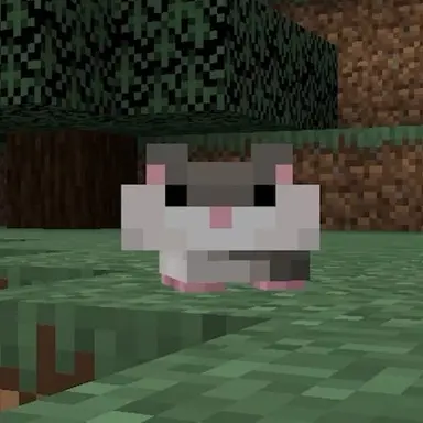 Profile image of 선하