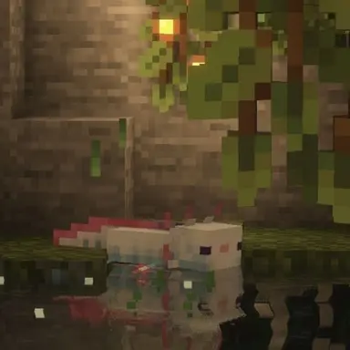 Profile image of 혜비