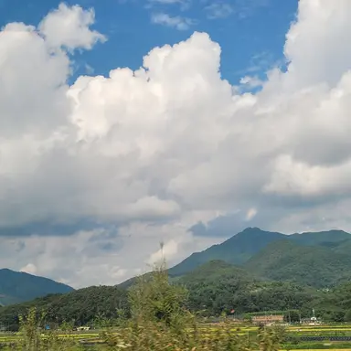 Profile image of 미수반