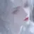 이 현