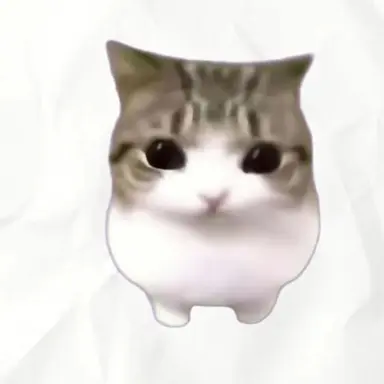 Profile image of Coach