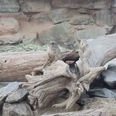 Profile image of 와이프이영서