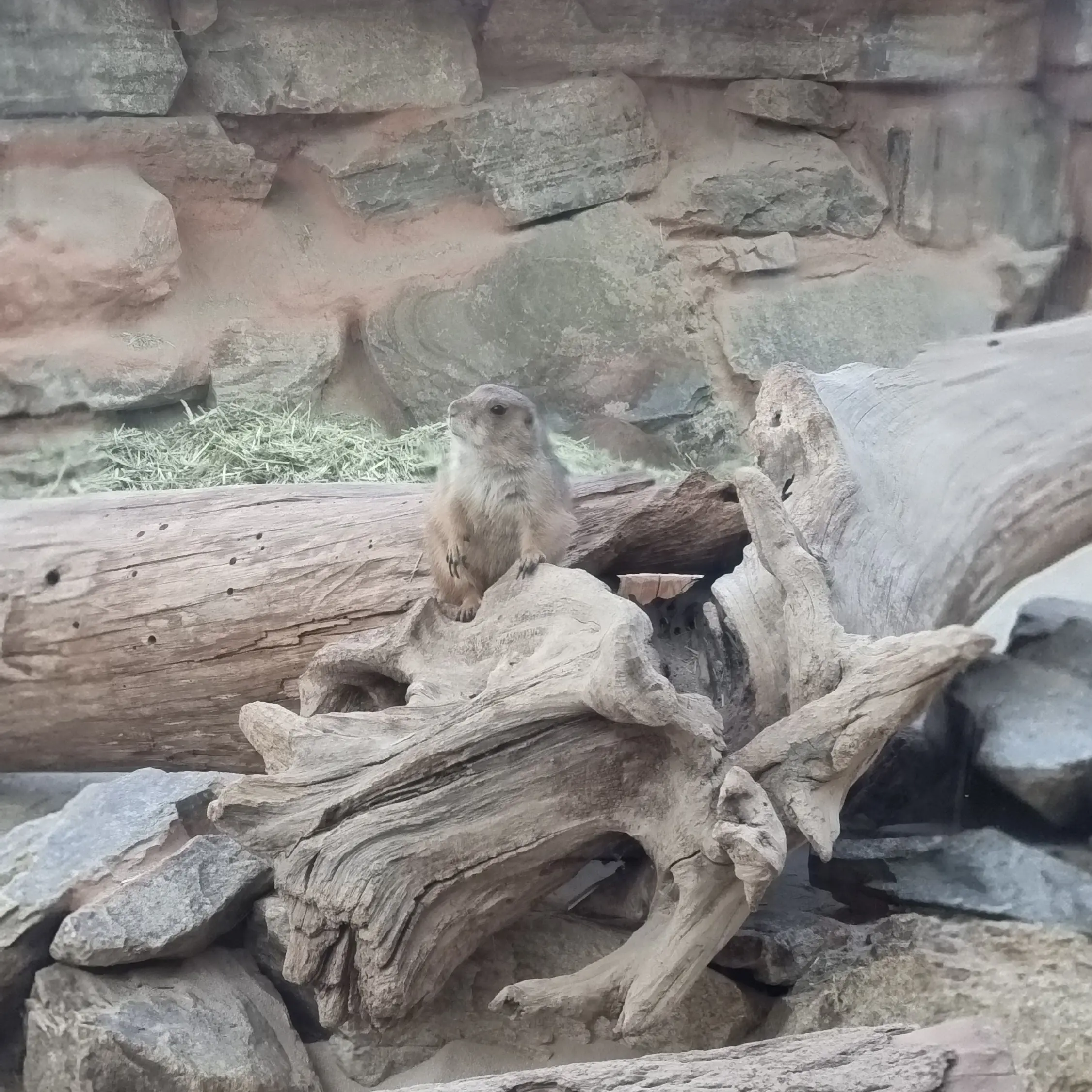 ClassySea9579의 와이프 이영서