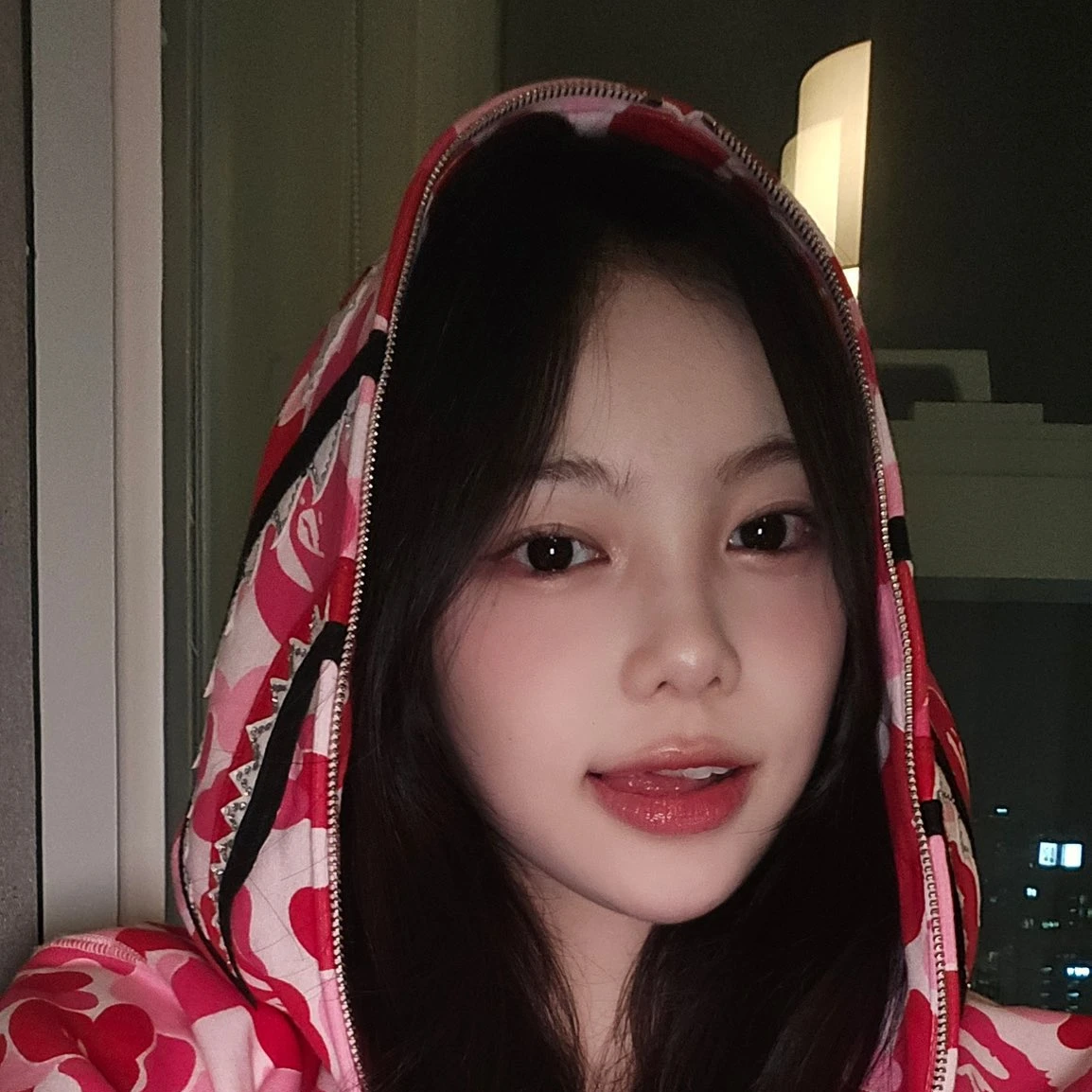 정이안