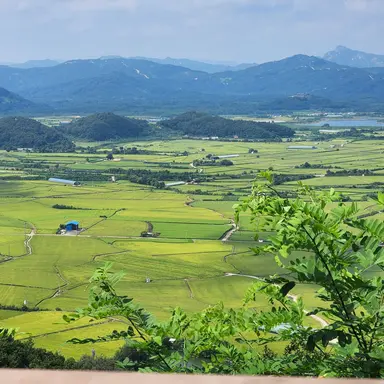 Profile image of 오뉴