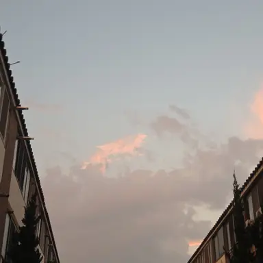 Profile image of 명재횬