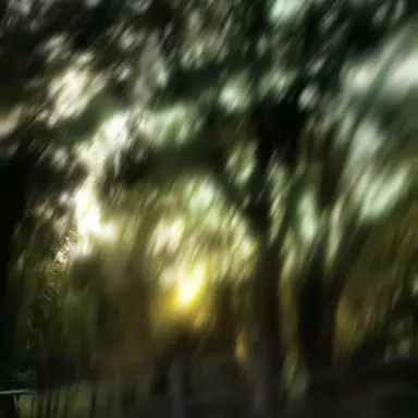 Profile image of 설윤아