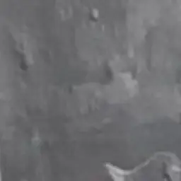 Woojx08의 정우진