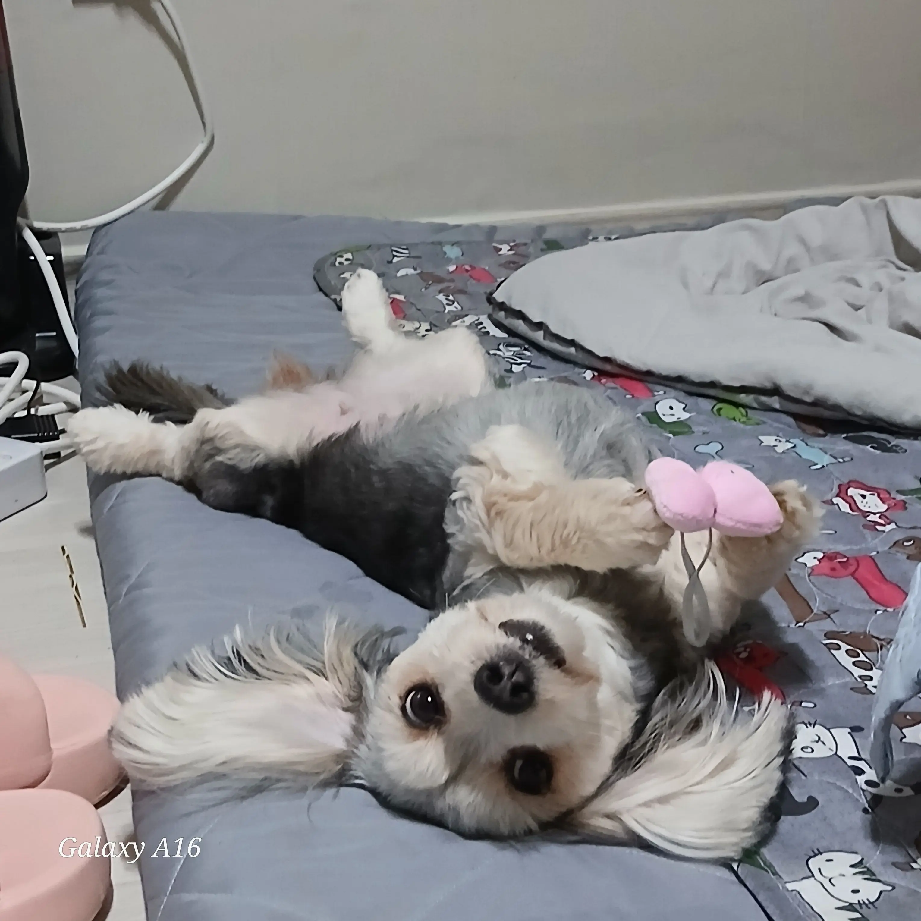 ghma_fgks의 개인용!! 하고싶으면 해용