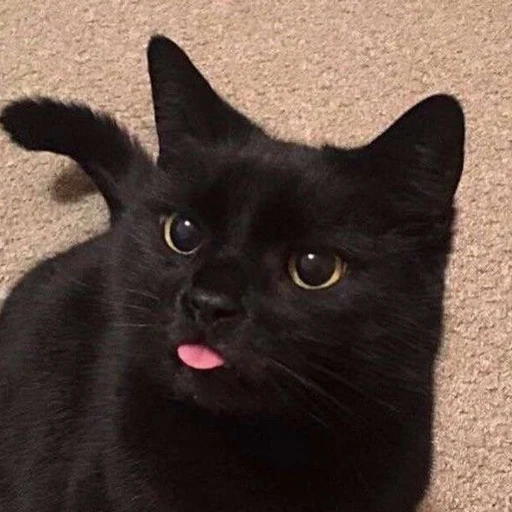 ㅁㅋ