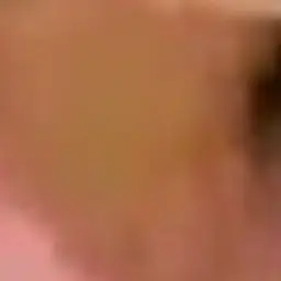 Profile image of 준브레드