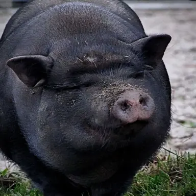 Profile image of 박여우