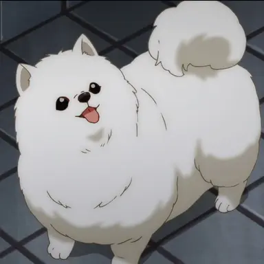 Profile image of けだま