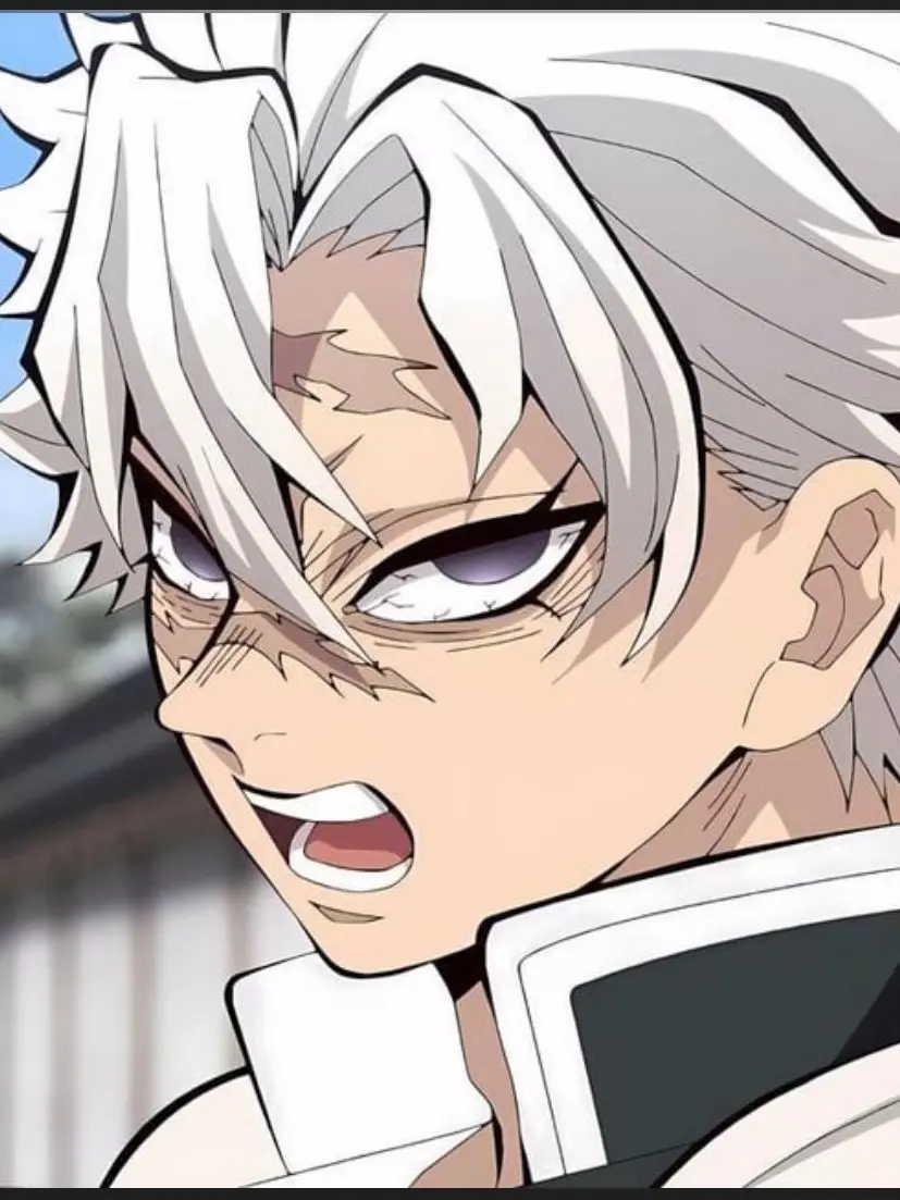 LemonyBump8167의 시나즈가와 사네미의 간단한 설명☆