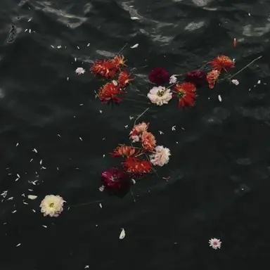 Profile image of ジュン