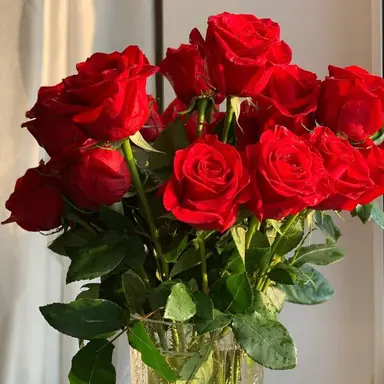 Profile image of 바로